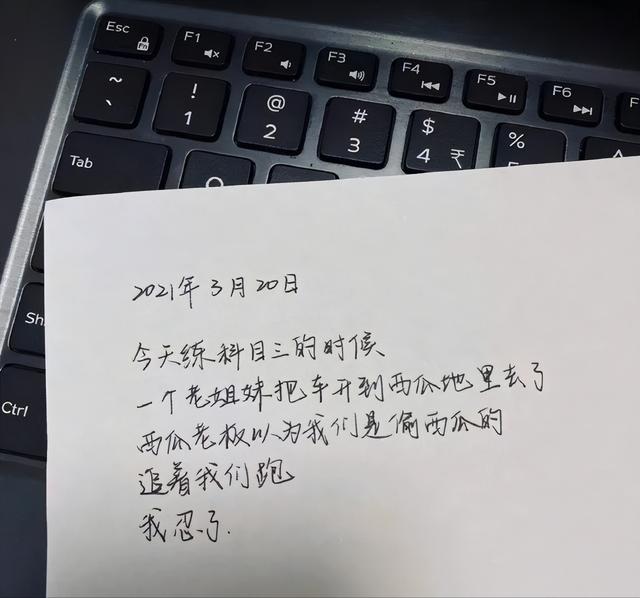 神回复:好可爱,想带一只回去养,请问可以养多久? 神回复:好可爱,想带一只回去养,请问可以养多久?