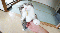 你怎么可以舔得这么销魂