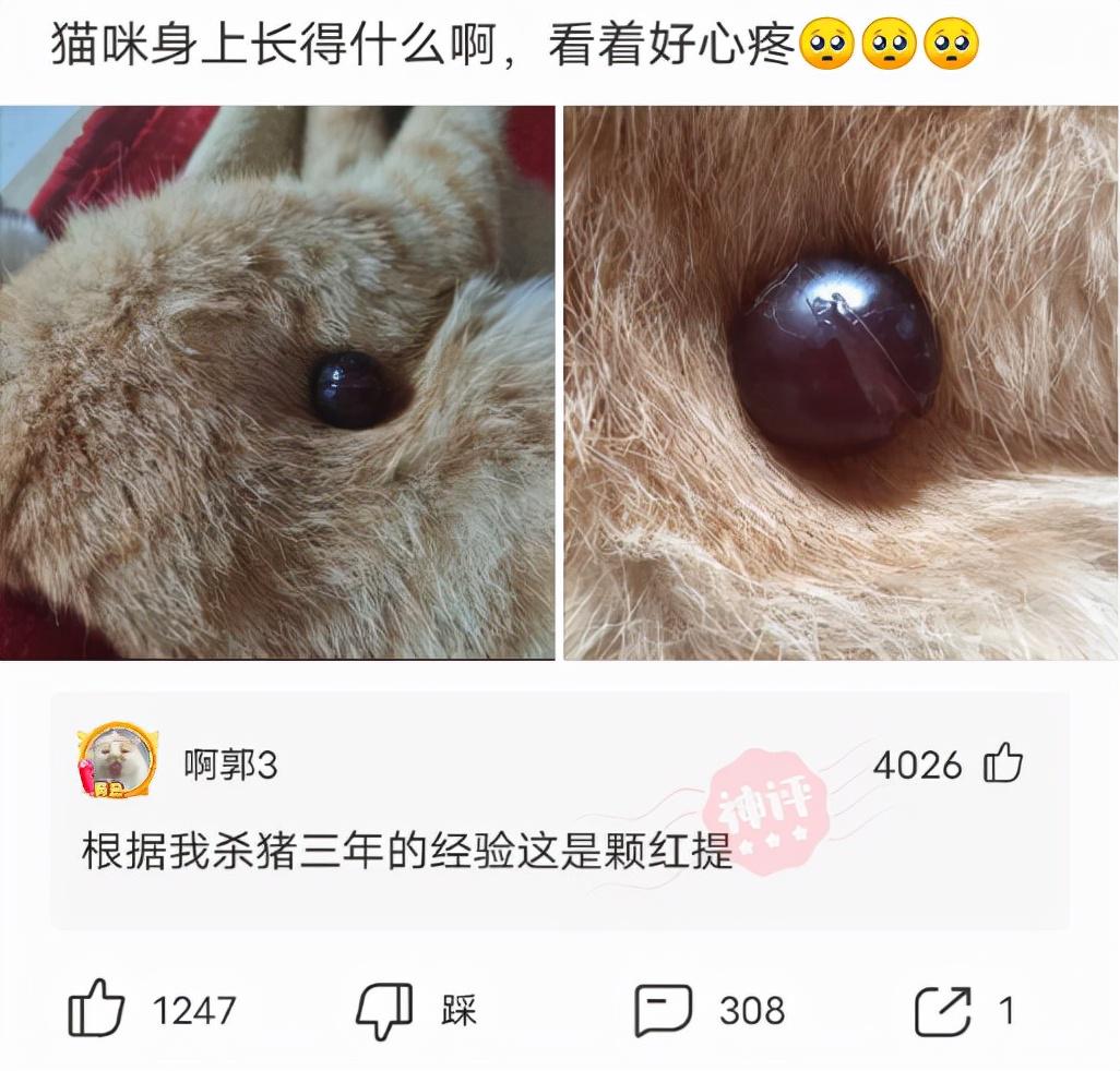 同租的室友天天喝醉,半夜回家吵我,我该怎么整治她呢? 同租的室友天天喝醉,半夜回家吵我,我该怎么整治她呢?