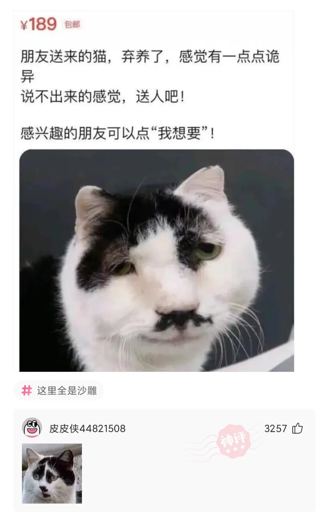 同租的室友天天喝醉,半夜回家吵我,我该怎么整治她呢? 同租的室友天天喝醉,半夜回家吵我,我该怎么整治她呢?