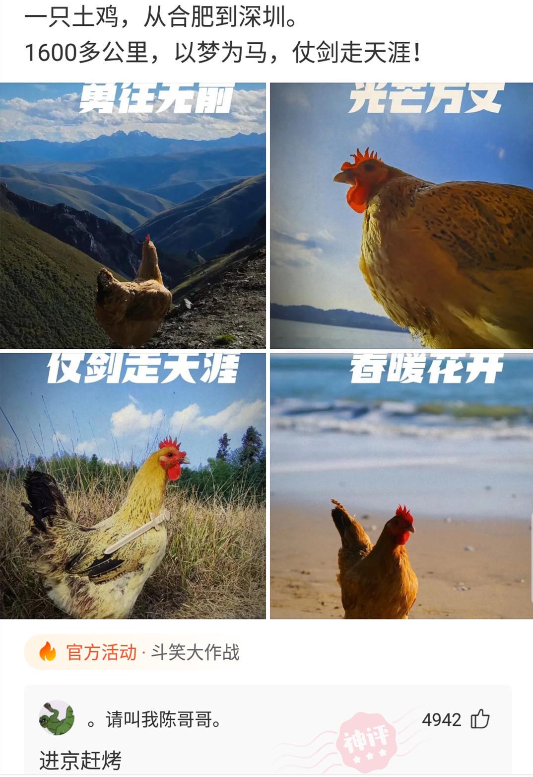 同租的室友天天喝醉,半夜回家吵我,我该怎么整治她呢? 同租的室友天天喝醉,半夜回家吵我,我该怎么整治她呢?