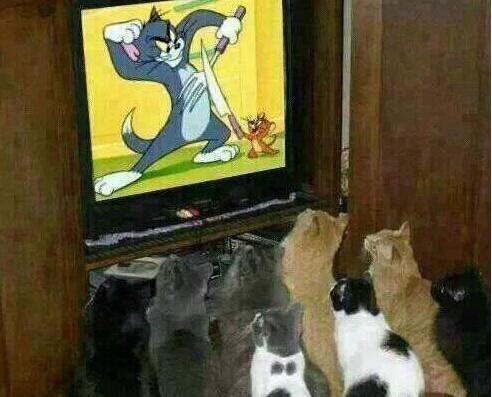 太专注了 太专注了