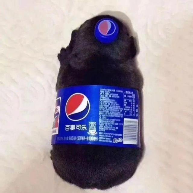 确实可惜，好好一棵白菜就这样被猪拱了，看着确实让人心疼