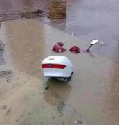 谁让你开车不好好看前面。