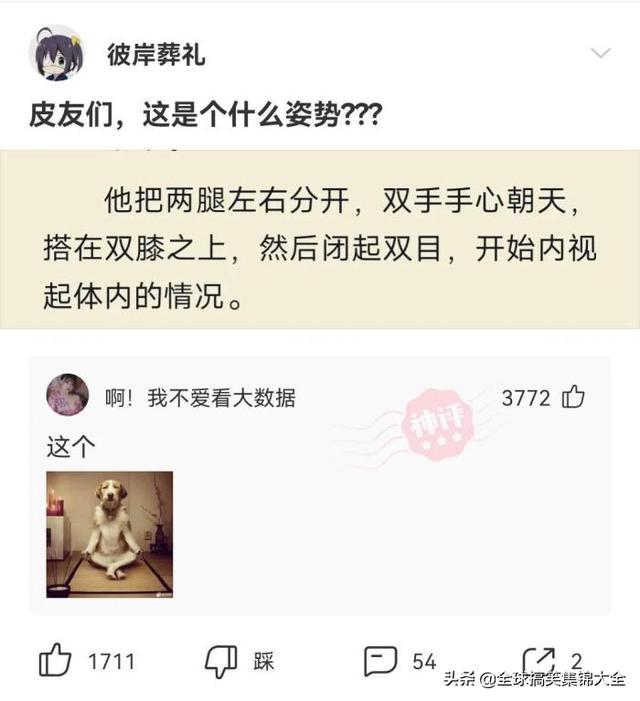 神回复:因为每个家庭都不一样,我们的车也是挺好的 神回复:因为每个家庭都不一样,我们的车也是挺好的