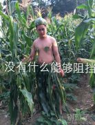 没有什么能够阻挡。 没有什么能够阻挡。
