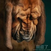 这是多少皱纹啊- -！