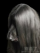 这是一只非主流小狗 这是一只非主流小狗