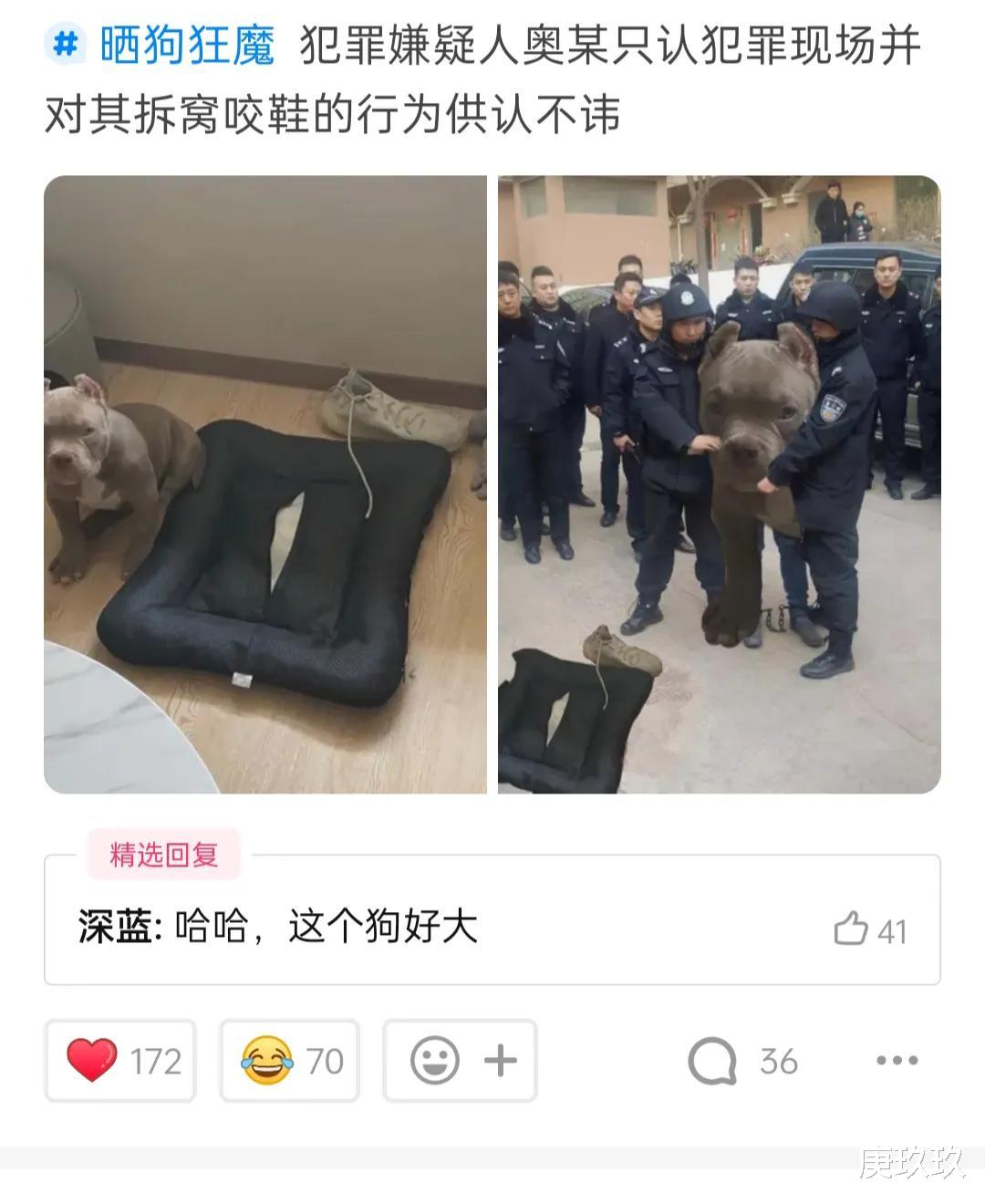 “公安局旁边有个奶茶店,叫追茶到底,我开个理发店应该叫啥名?” “公安局旁边有个奶茶店,叫追茶到底,我开个理发店应该叫啥名?”