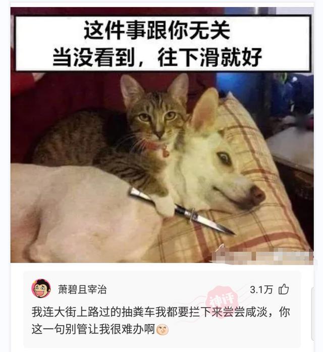 闺蜜嫁给了俄罗斯人,半年后,回来抱怨说:太冷了 闺蜜嫁给了俄罗斯人,半年后,回来抱怨说:太冷了