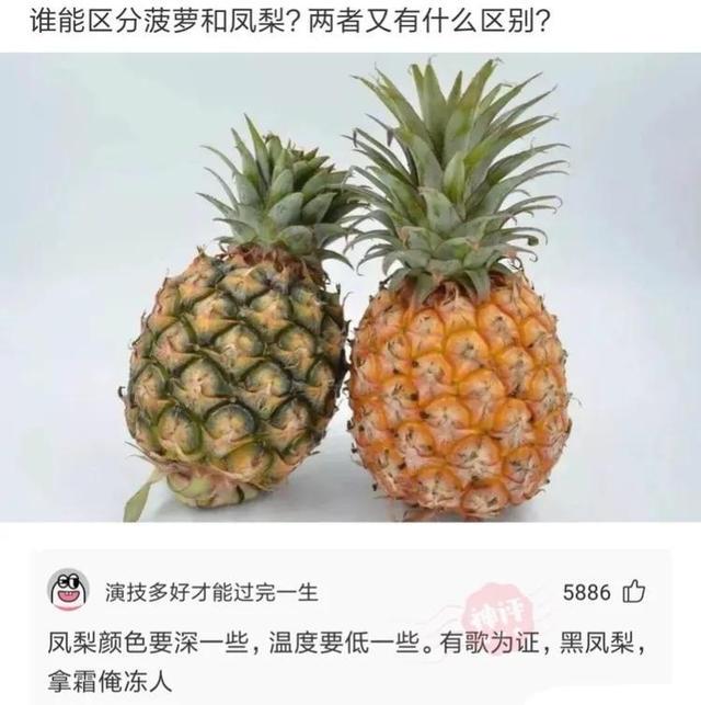 闺蜜嫁给了俄罗斯人，半年后，回来抱怨说：太冷了