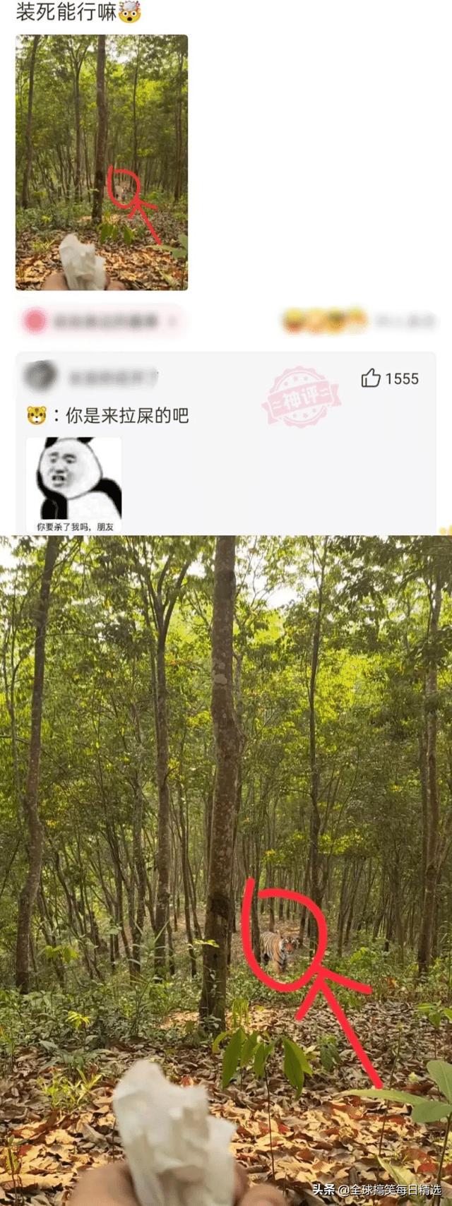 神回复:你帮他分析一下他老妈为什么不让他去了 神回复:你帮他分析一下他老妈为什么不让他去了