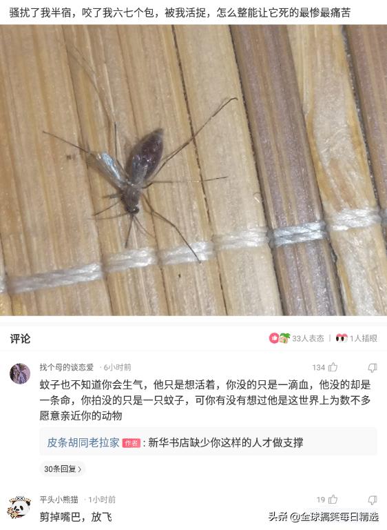 神回复:你帮他分析一下他老妈为什么不让他去了 神回复:你帮他分析一下他老妈为什么不让他去了