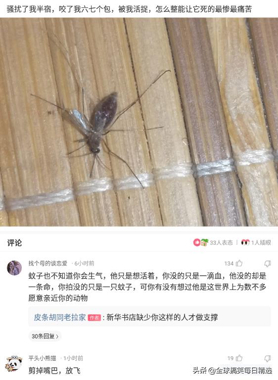 神回复：你帮他分析一下他老妈为什么不让他去了