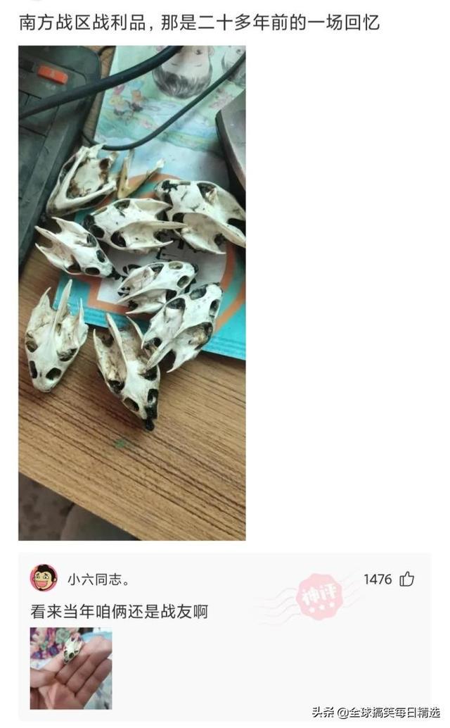 神回复:你帮他分析一下他老妈为什么不让他去了 神回复:你帮他分析一下他老妈为什么不让他去了