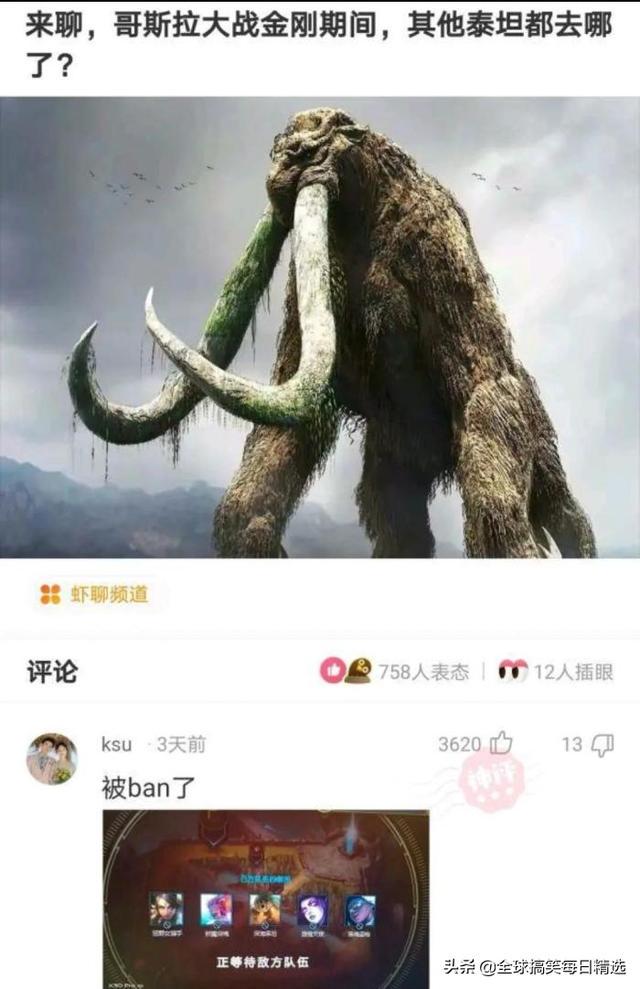 神回复:你帮他分析一下他老妈为什么不让他去了 神回复:你帮他分析一下他老妈为什么不让他去了