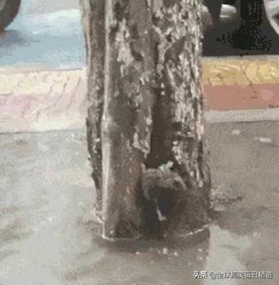 神回复:你帮他分析一下他老妈为什么不让他去了 神回复:你帮他分析一下他老妈为什么不让他去了