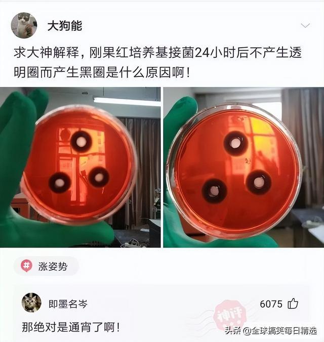 神回复:你帮他分析一下他老妈为什么不让他去了 神回复:你帮他分析一下他老妈为什么不让他去了