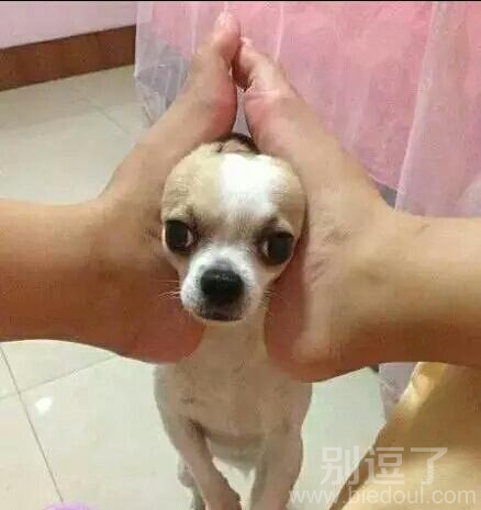 看我的眼神自己体会