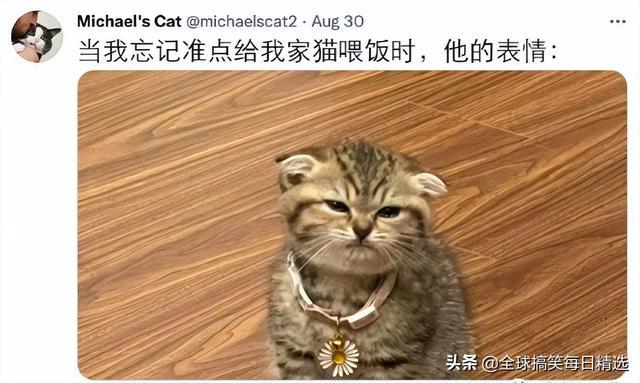 神回复:我已经升级了,你没跟上我的步伐 神回复:我已经升级了,你没跟上我的步伐