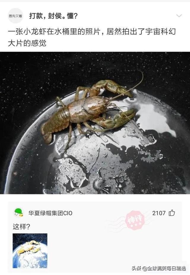 神回复:我已经升级了,你没跟上我的步伐 神回复:我已经升级了,你没跟上我的步伐