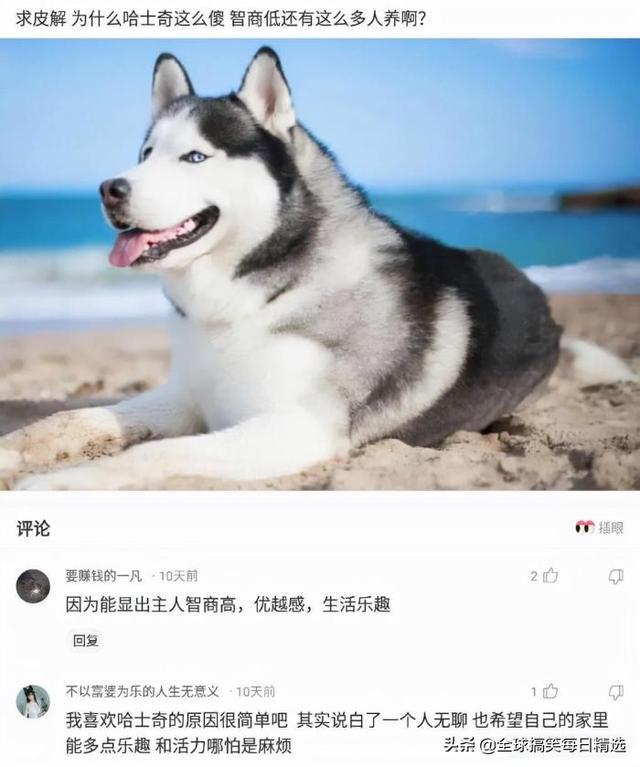 神回复:我已经升级了,你没跟上我的步伐 神回复:我已经升级了,你没跟上我的步伐