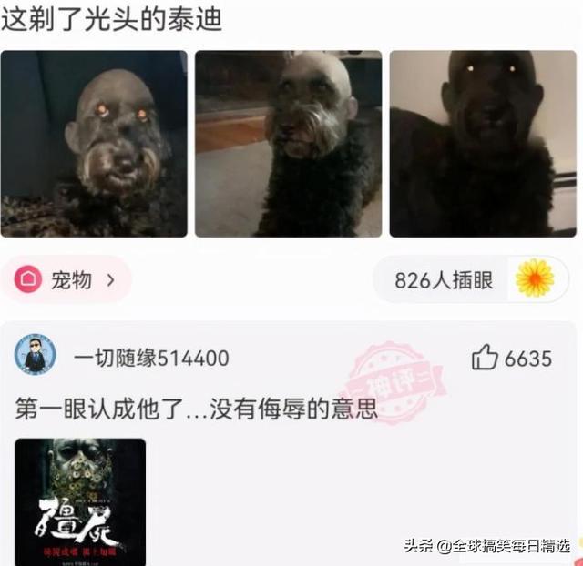 神回复:我已经升级了,你没跟上我的步伐 神回复:我已经升级了,你没跟上我的步伐