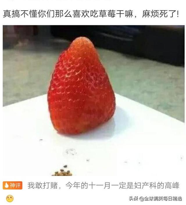 神回复:我已经升级了,你没跟上我的步伐 神回复:我已经升级了,你没跟上我的步伐