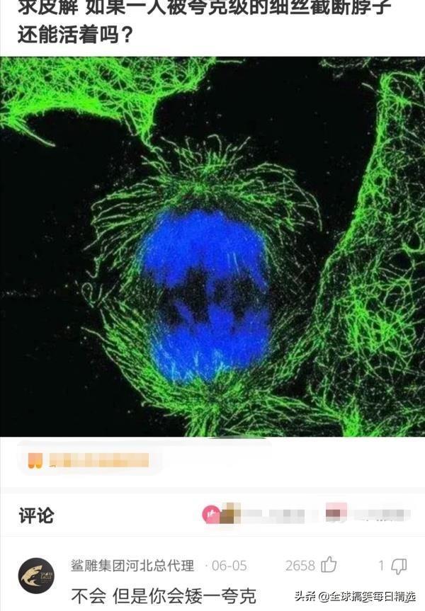 神回复:我已经升级了,你没跟上我的步伐 神回复:我已经升级了,你没跟上我的步伐
