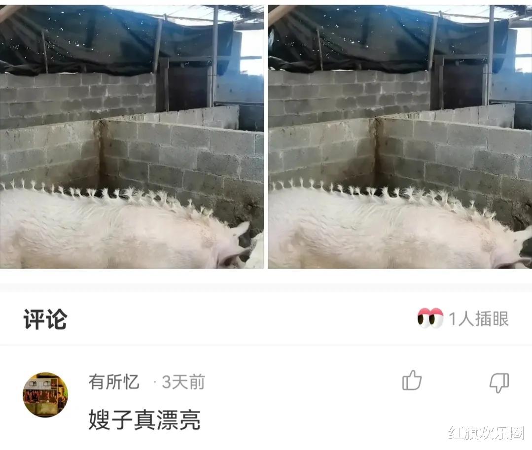 “花生粒和土粒混在一起了,有什么好点的办法分开吗?”神回复猝不及防 “花生粒和土粒混在一起了,有什么好点的办法分开吗?”神回复猝不及防