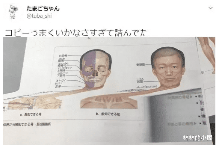 “为什么酒吧里没有长得丑的女生?”网友回复真实了...哈哈哈 “为什么酒吧里没有长得丑的女生?”网友回复真实了...哈哈哈