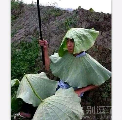 荷叶成精了。。。