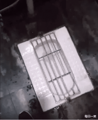 “刚从酒吧出来,她们三个不让我走怎么办?”哈哈哈评论区太会说了 “刚从酒吧出来,她们三个不让我走怎么办?”哈哈哈评论区太会说了