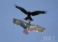 给我下去，你这冒牌的家伙