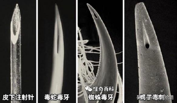 每日爆笑囧图神评论大赏:可爱的妹子竟然这样玩真人CS 每日爆笑囧图神评论大赏:可爱的妹子竟然这样玩真人CS
