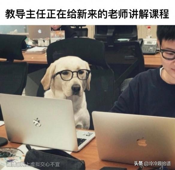 每日爆笑囧图神评论大赏:可爱的妹子竟然这样玩真人CS 每日爆笑囧图神评论大赏:可爱的妹子竟然这样玩真人CS