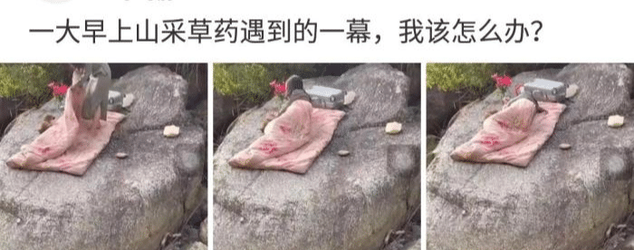“这姑娘一看就服役过,腰间的痕迹已经说明一切了!”哈哈哈哈哈这也太真实了叭~ “这姑娘一看就服役过,腰间的痕迹已经说明一切了!”哈哈哈哈哈这也太真实了叭~