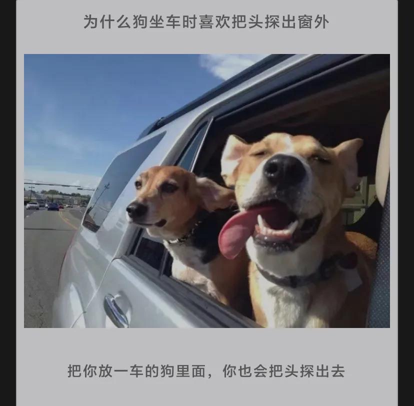 “新婚第二天老婆就暴露了,我上当了啊!”哈哈网友评论太尴尬了 “新婚第二天老婆就暴露了,我上当了啊!”哈哈网友评论太尴尬了