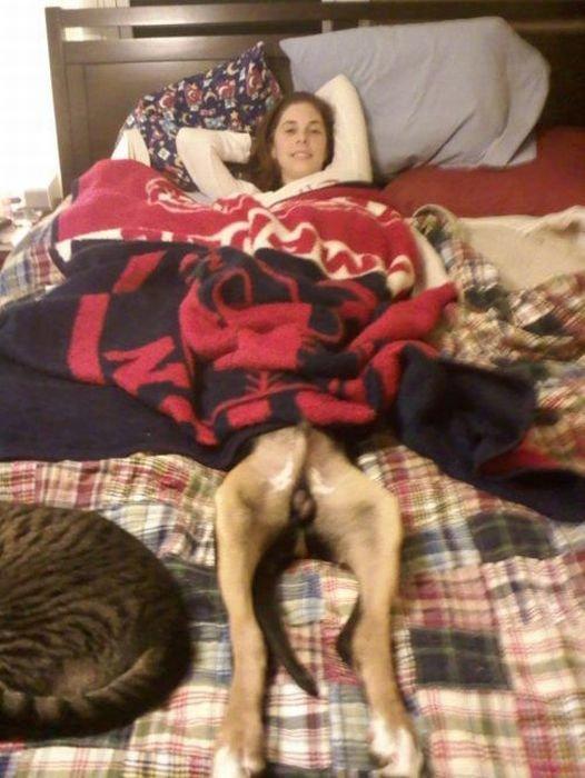 这个图片邪恶了