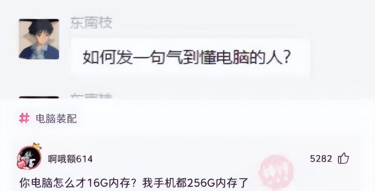 奶奶家的这只鸡指定是混了什么别的血统 奶奶家的这只鸡指定是混了什么别的血统