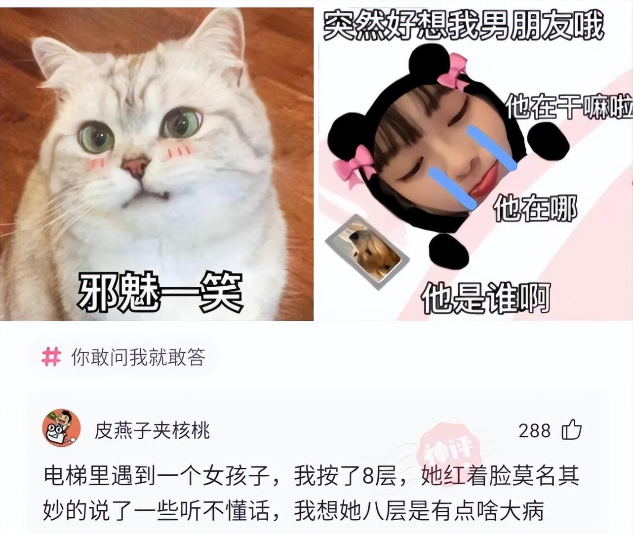 奶奶家的这只鸡指定是混了什么别的血统 奶奶家的这只鸡指定是混了什么别的血统