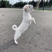 在小区隔离