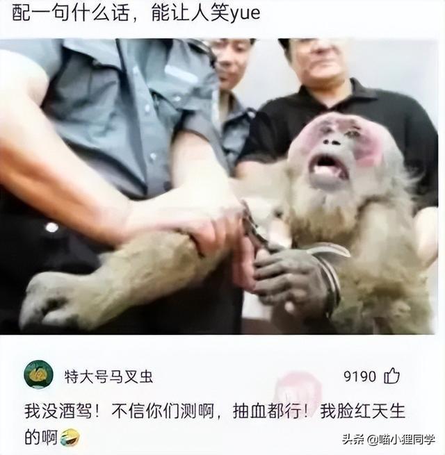 女朋友出差了,说去了上海出差,还给我发来了一张这样的照片 女朋友出差了,说去了上海出差,还给我发来了一张这样的照片