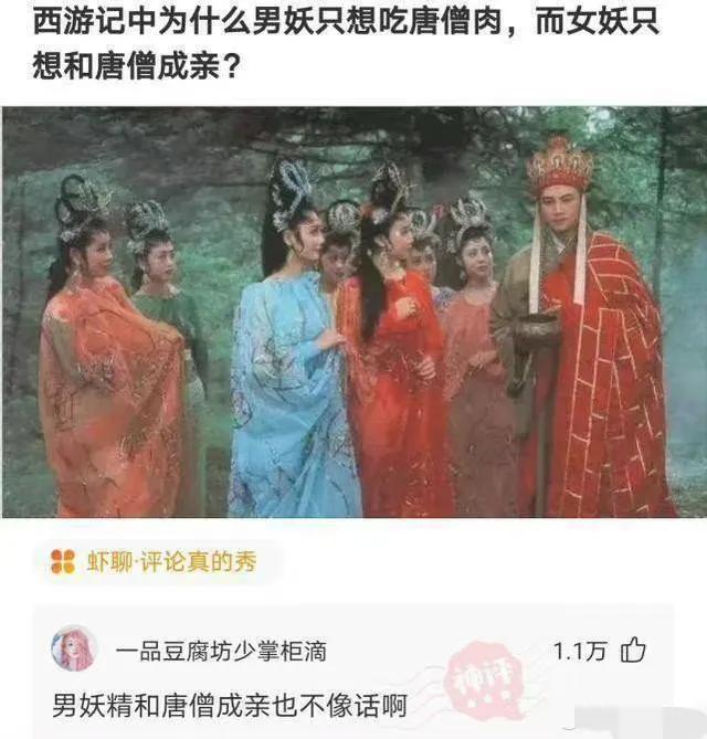 这眼神，你就说坚不坚定吧，哈哈哈哈，笑尿了