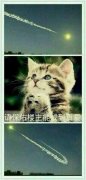 尼玛这是有多难实现
