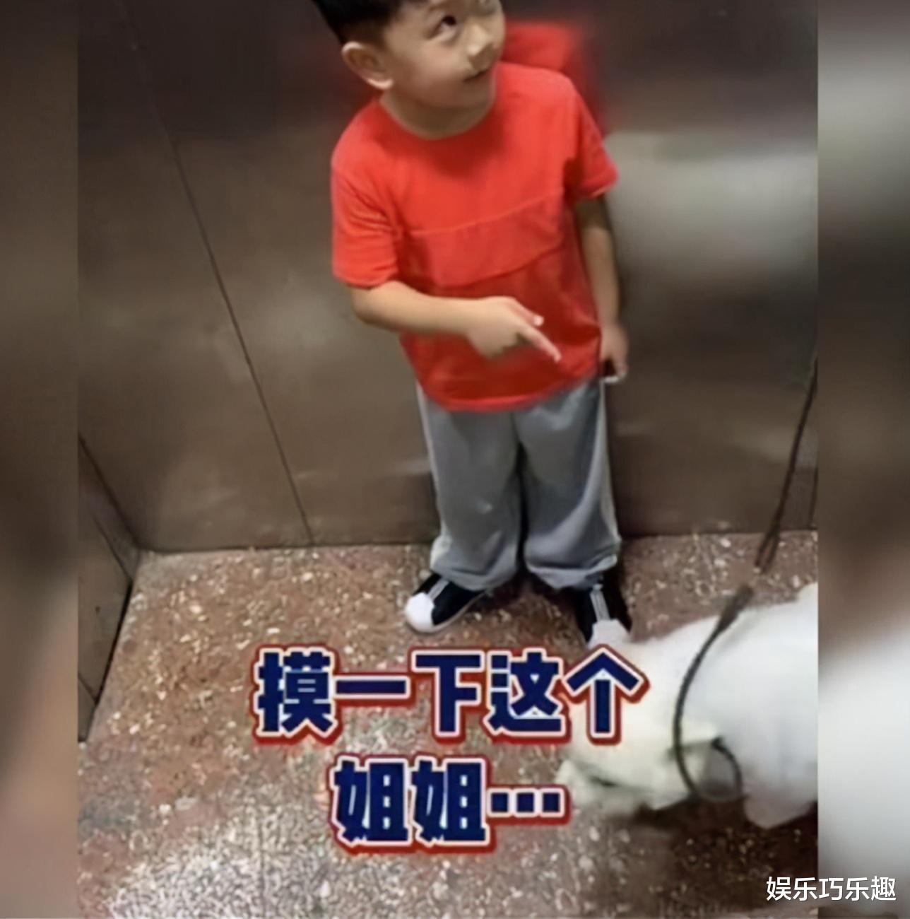 “阿姨我能摸一下狗狗吗?”,“叫姐姐”,小朋友的脑回路瞬间笑翻网友 “阿姨我能摸一下狗狗吗?”,“叫姐姐”,小朋友的脑回路瞬间笑翻网友