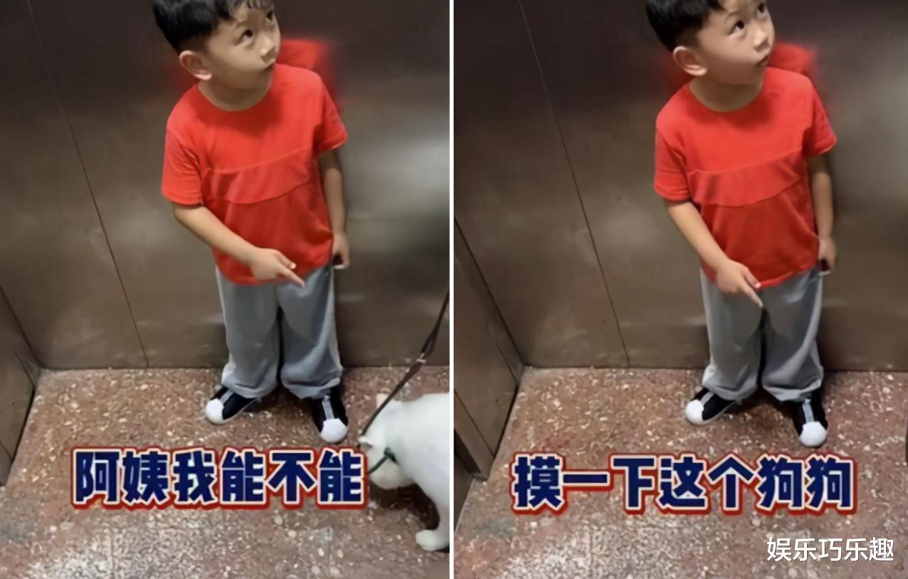 “阿姨我能摸一下狗狗吗?”,“叫姐姐”,小朋友的脑回路瞬间笑翻网友 “阿姨我能摸一下狗狗吗?”,“叫姐姐”,小朋友的脑回路瞬间笑翻网友