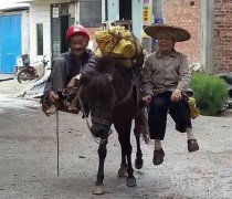 坐着宝马买菜的人。。