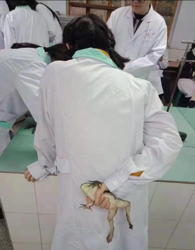 第一次去女友家带了这些东西,竟然被丈母娘哄了出来...哈哈哈哈 第一次去女友家带了这些东西,竟然被丈母娘哄了出来...哈哈哈哈