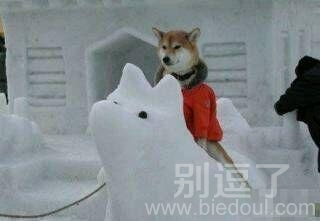 拍照就快点，整死本汪了
